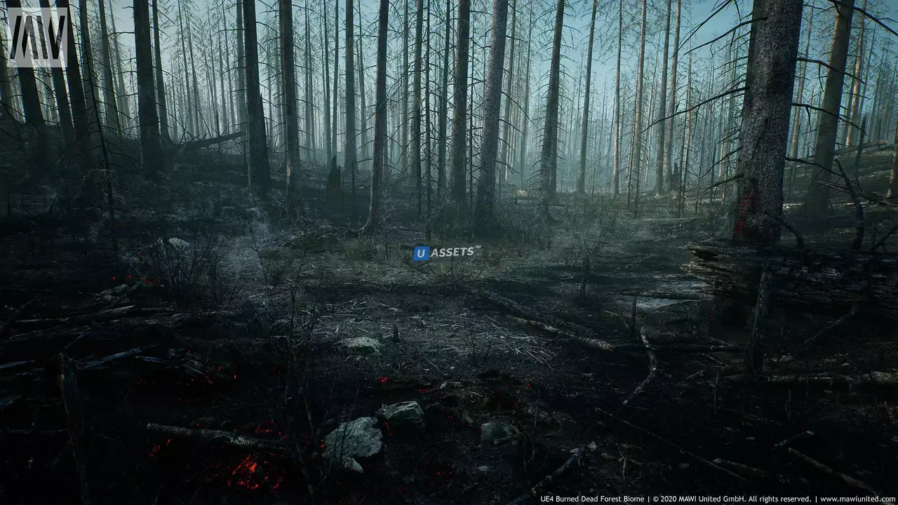 MW Burned Dead Trees Forest Biome