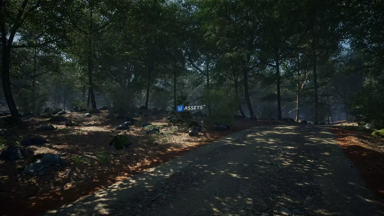 MAE Oak Forest