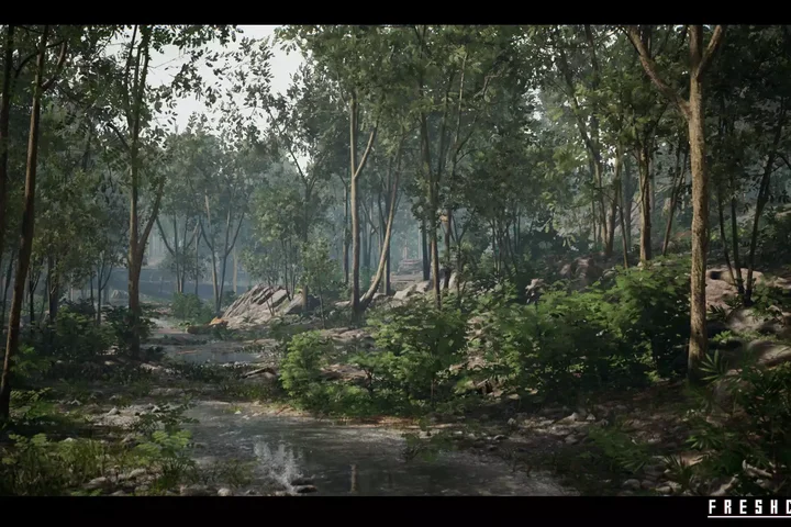 Forest Environment