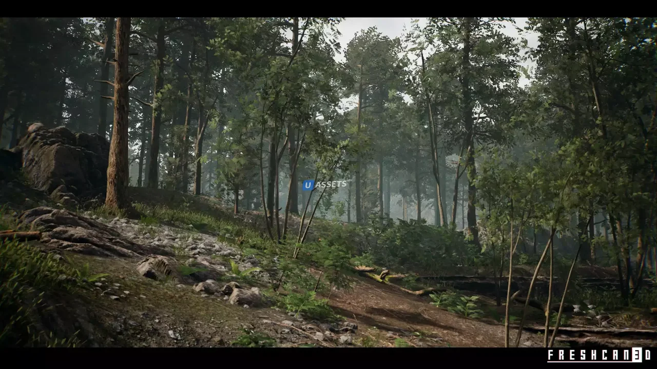 Forest Environment