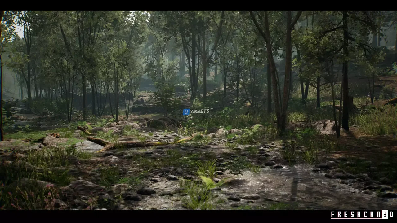 Forest Environment
