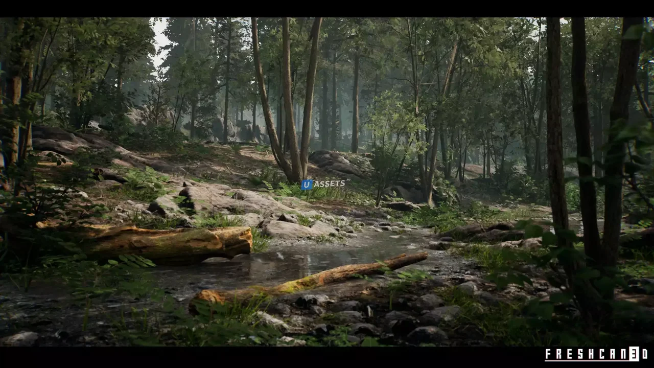 Forest Environment