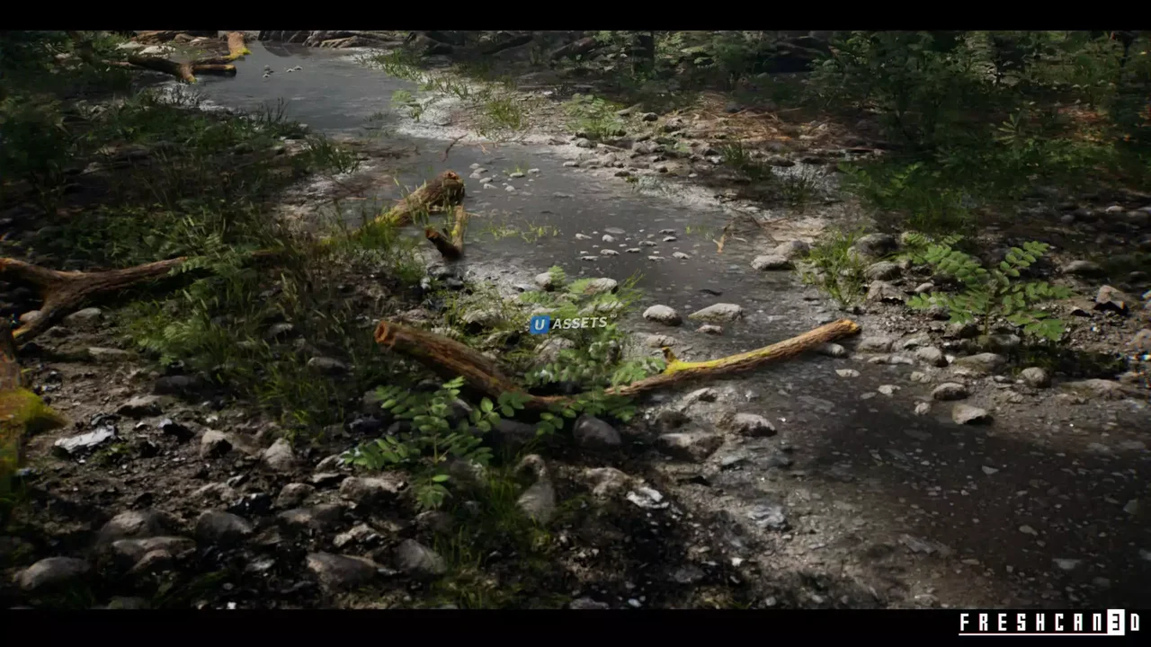 Forest Environment