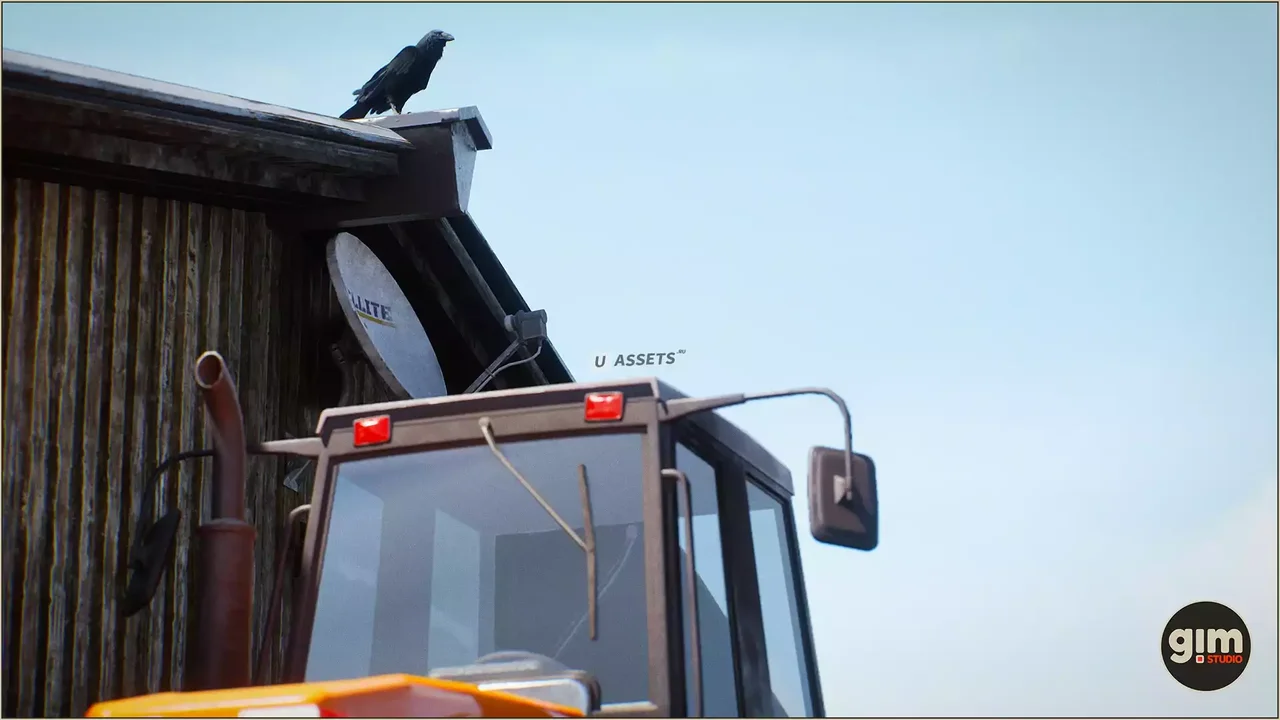 Animalia - Raven