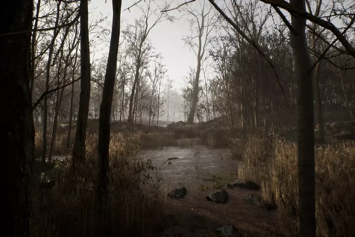 Procedural Forest