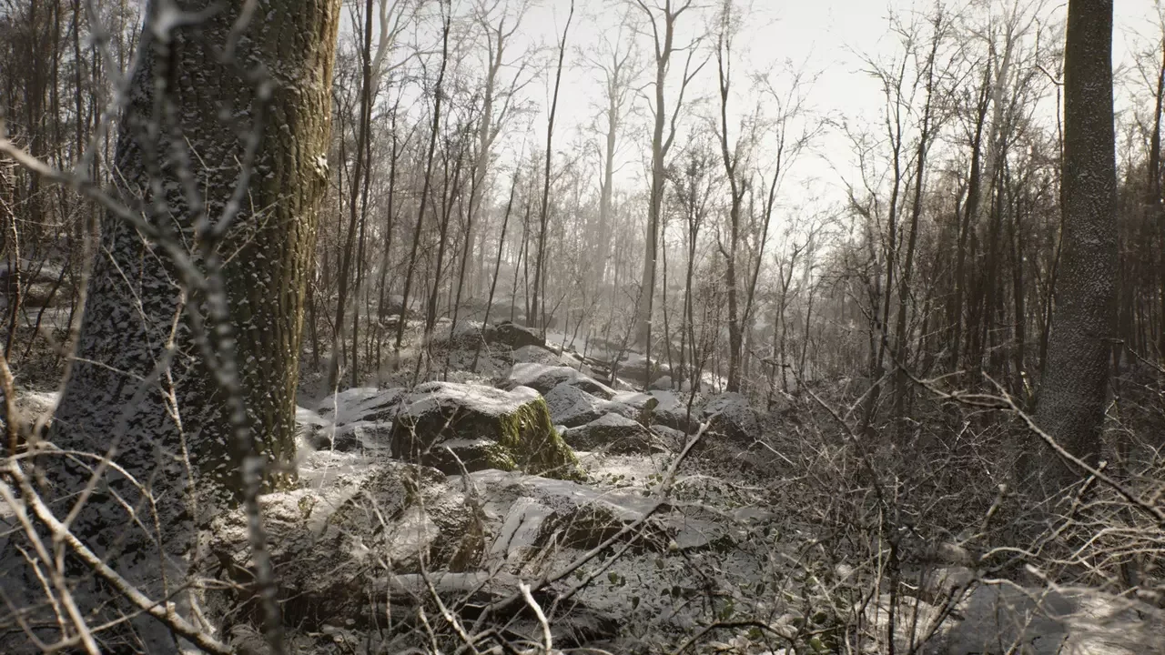 Procedural Forest