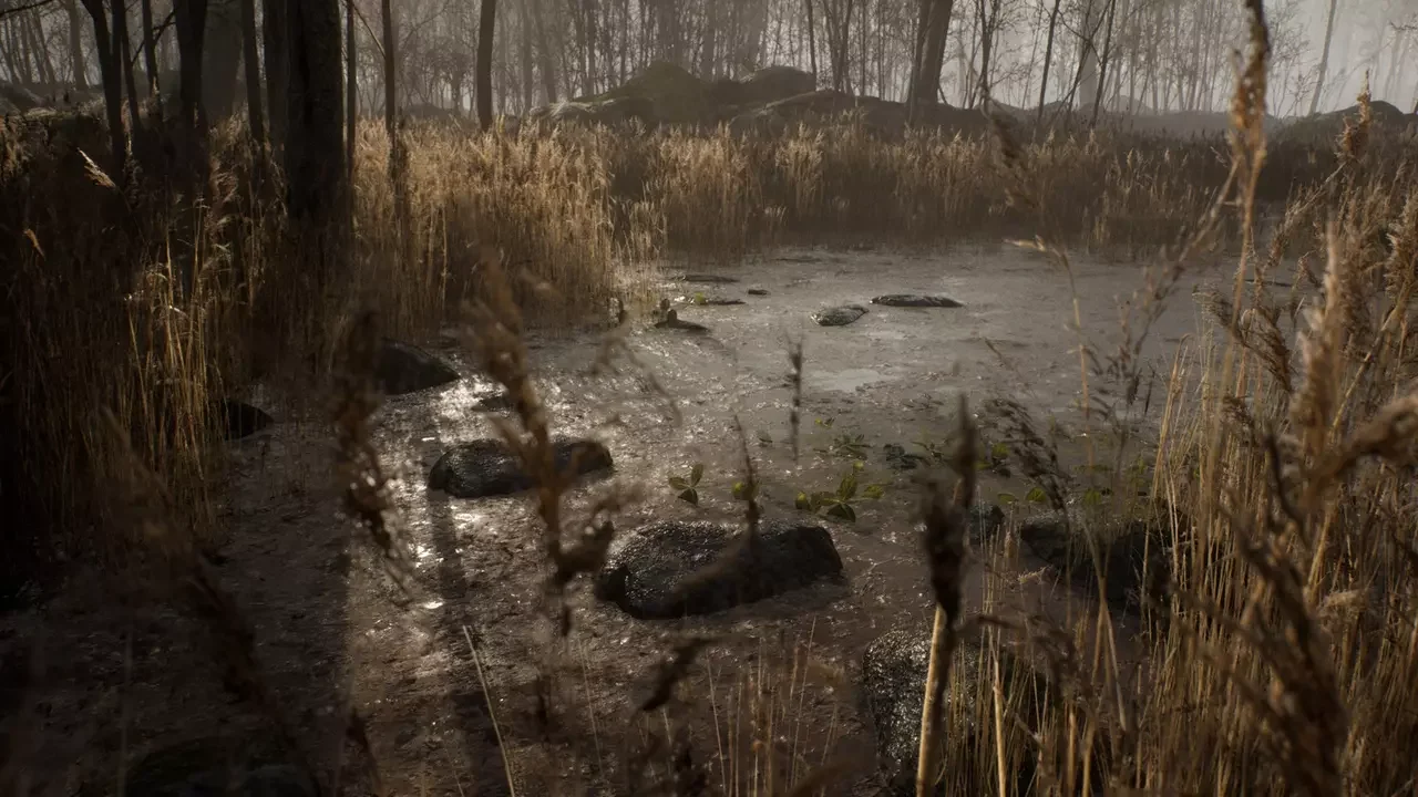 Procedural Forest