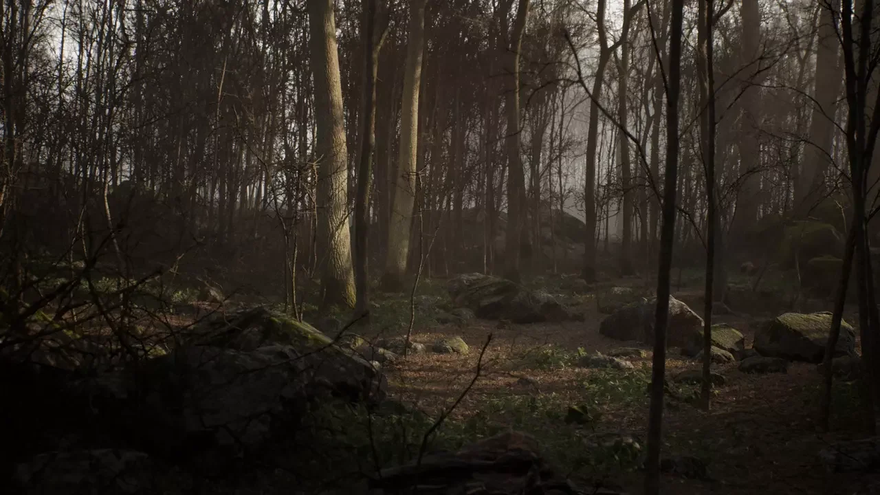 Procedural Forest
