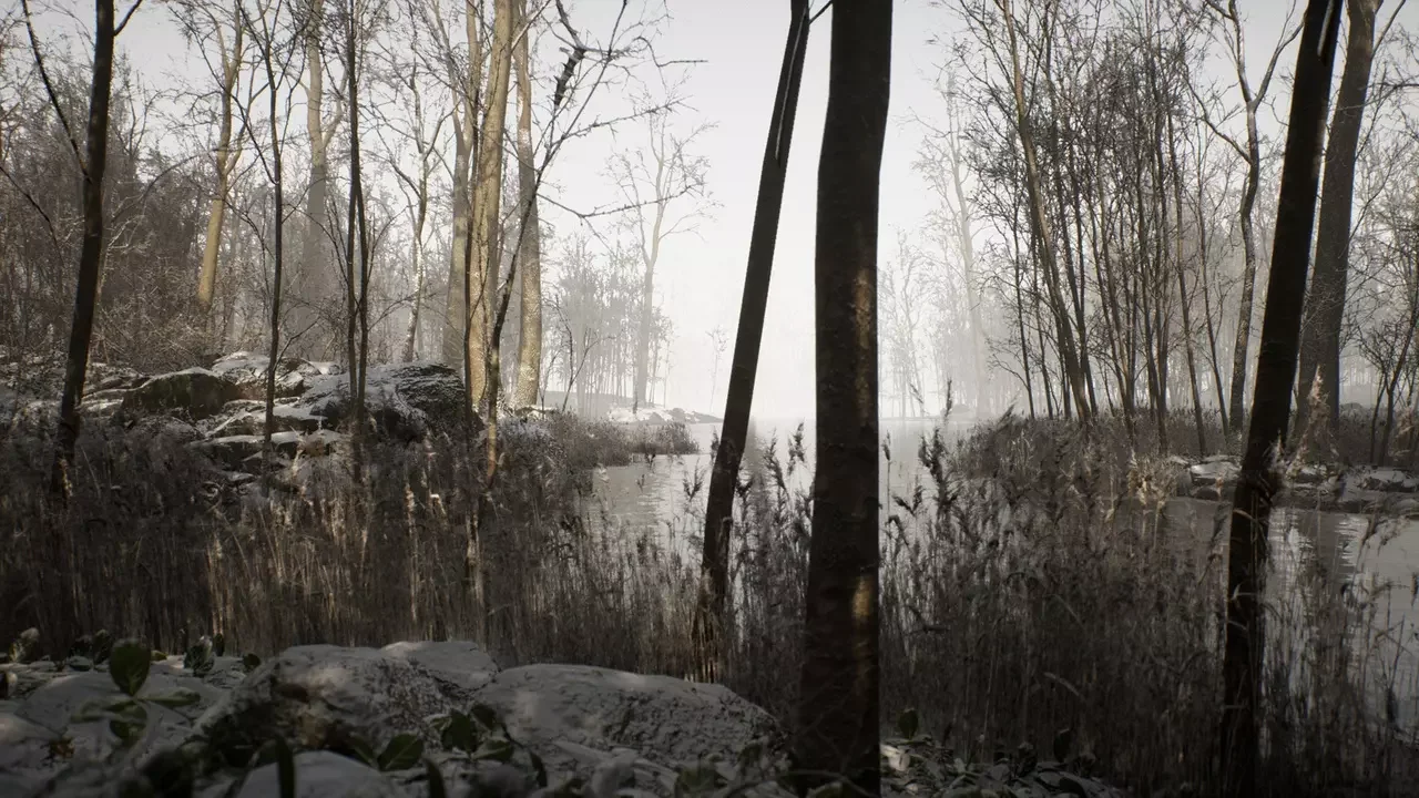 Procedural Forest