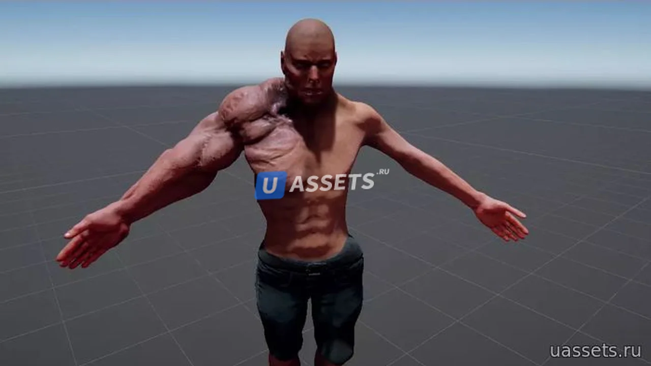 Mesh Transformation