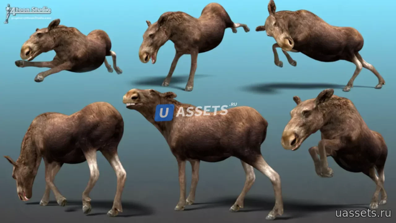 Forest Animal - Deer & Moose Family Pack