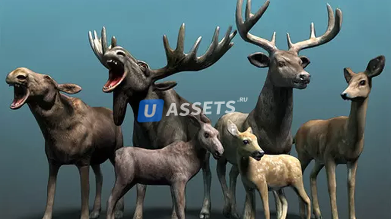 Forest Animal - Deer & Moose Family Pack