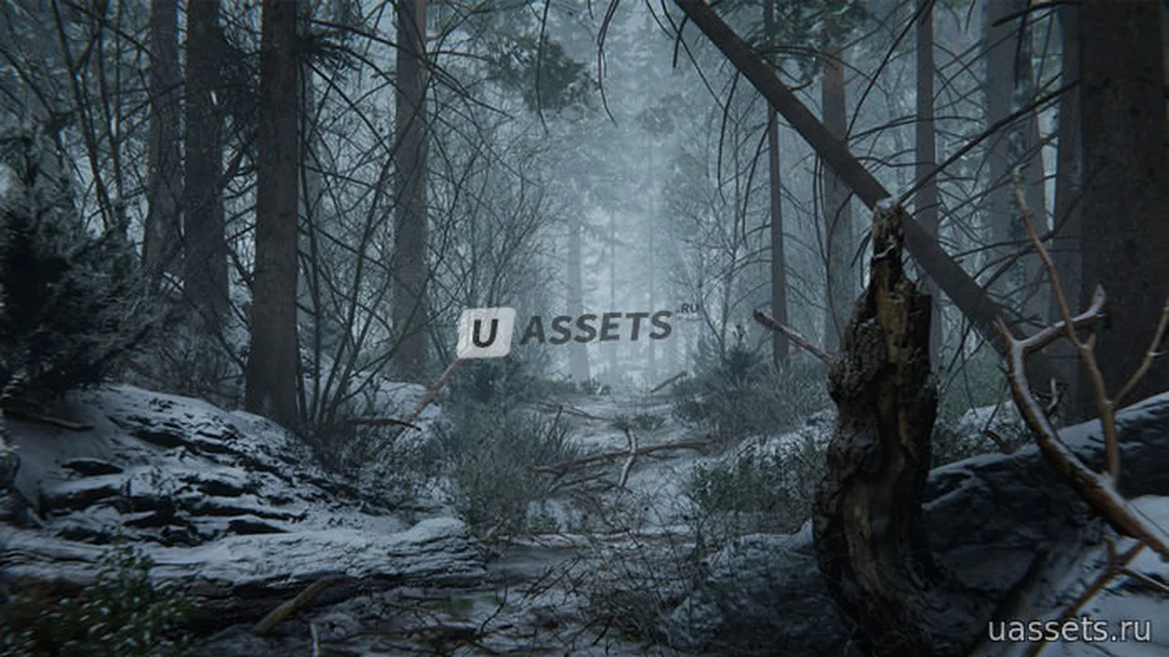 Winter Forest Environment