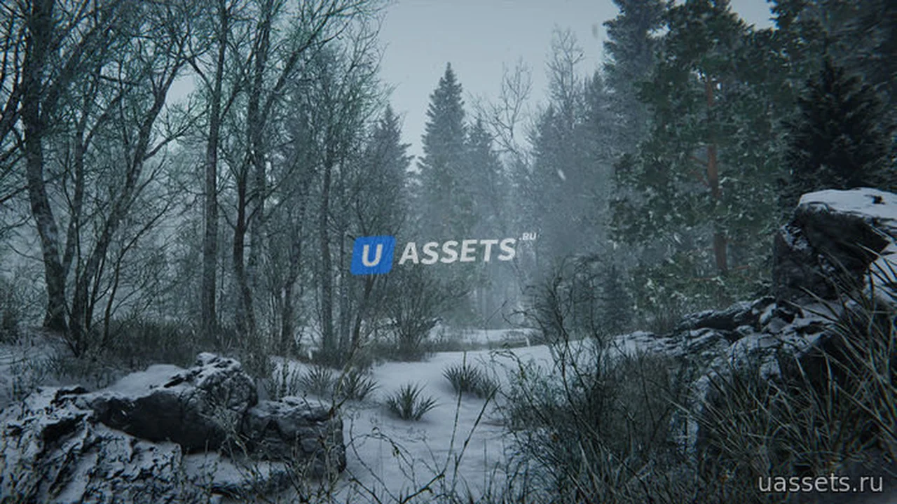 Winter Forest Environment
