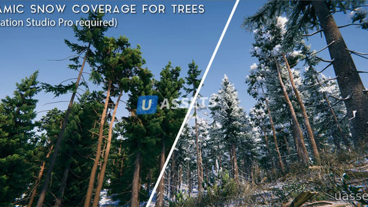Winter Forest Environment