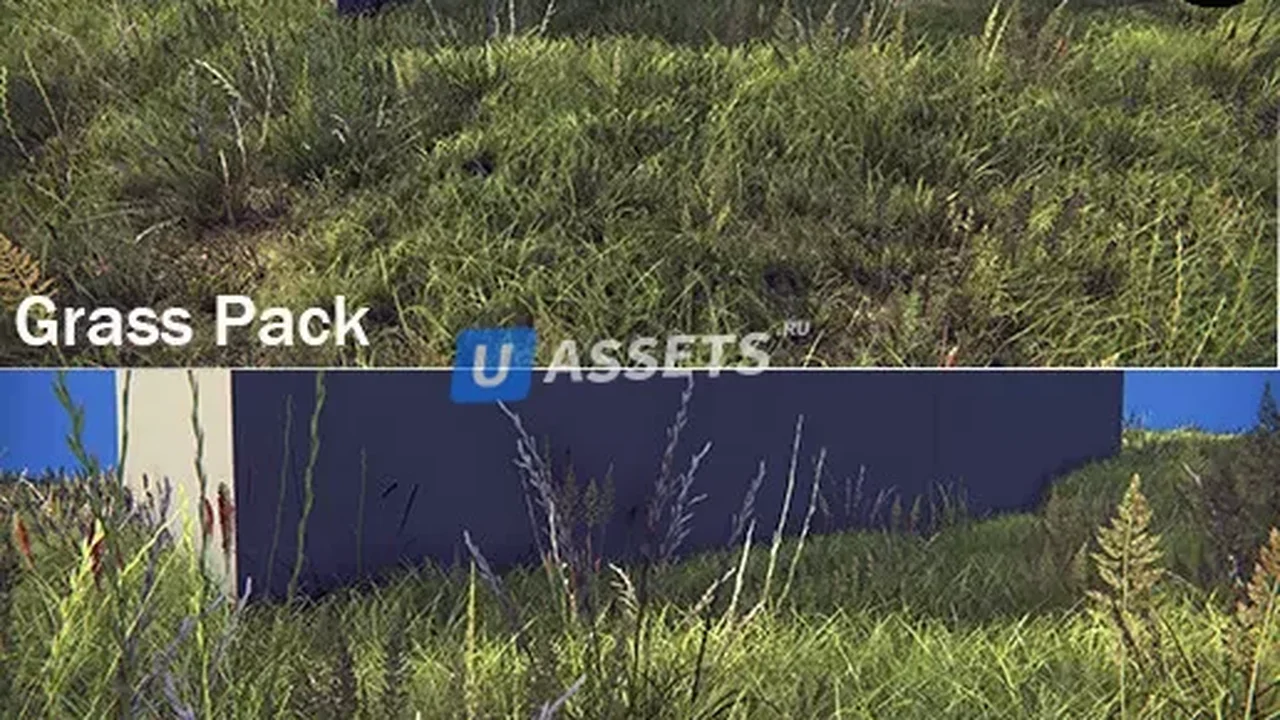 Grass Pack