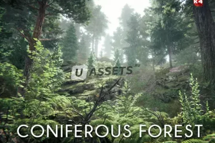 Coniferous Forest