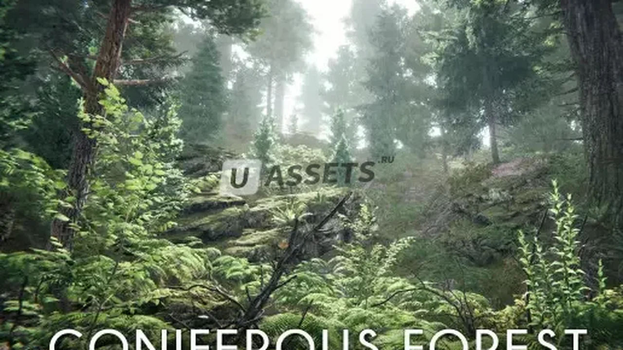 Coniferous Forest