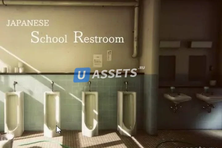 Japanese School Restroom