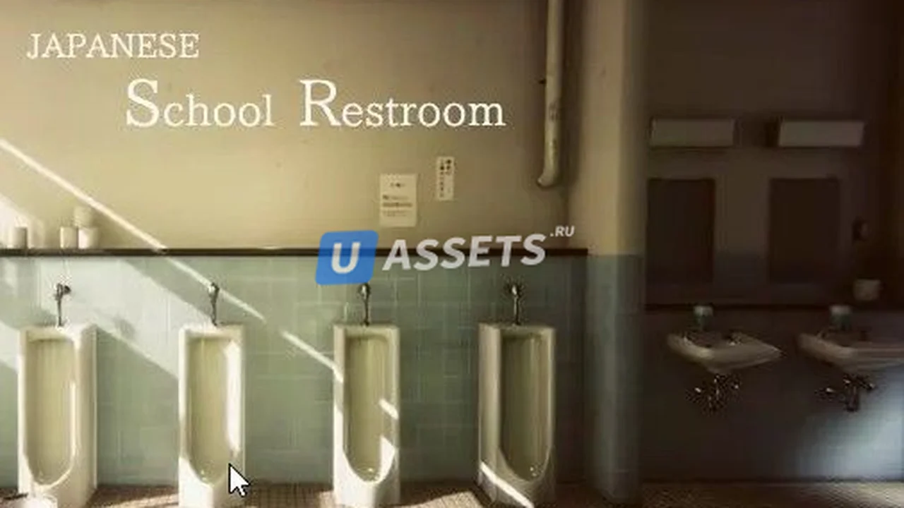 Japanese School Restroom