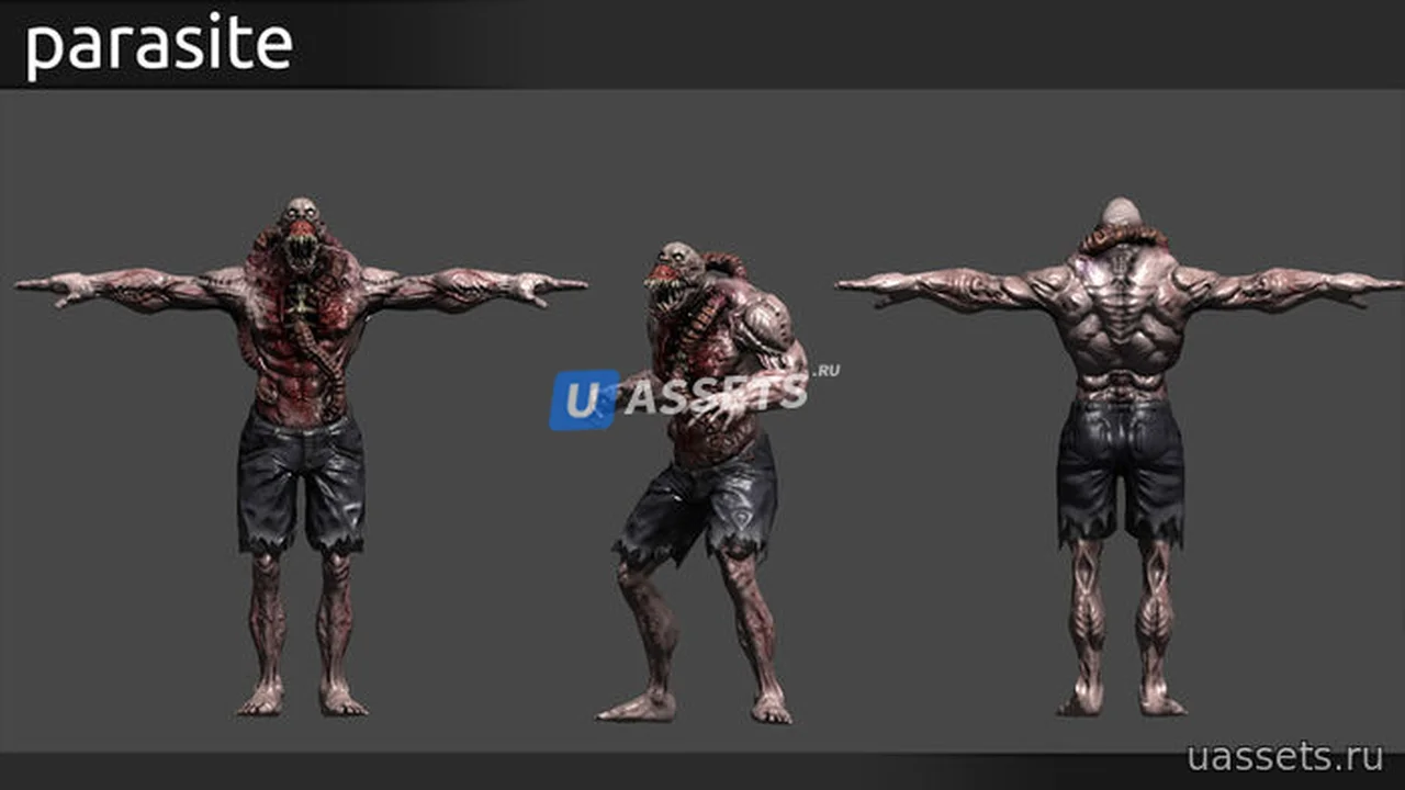 Mixamo Zombie Character Contest Pack