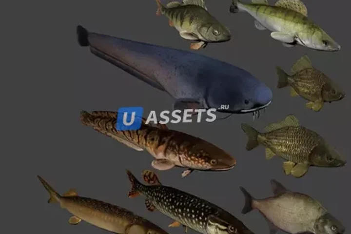 Fish animation
