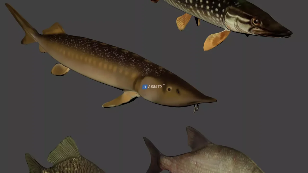 Fish animation