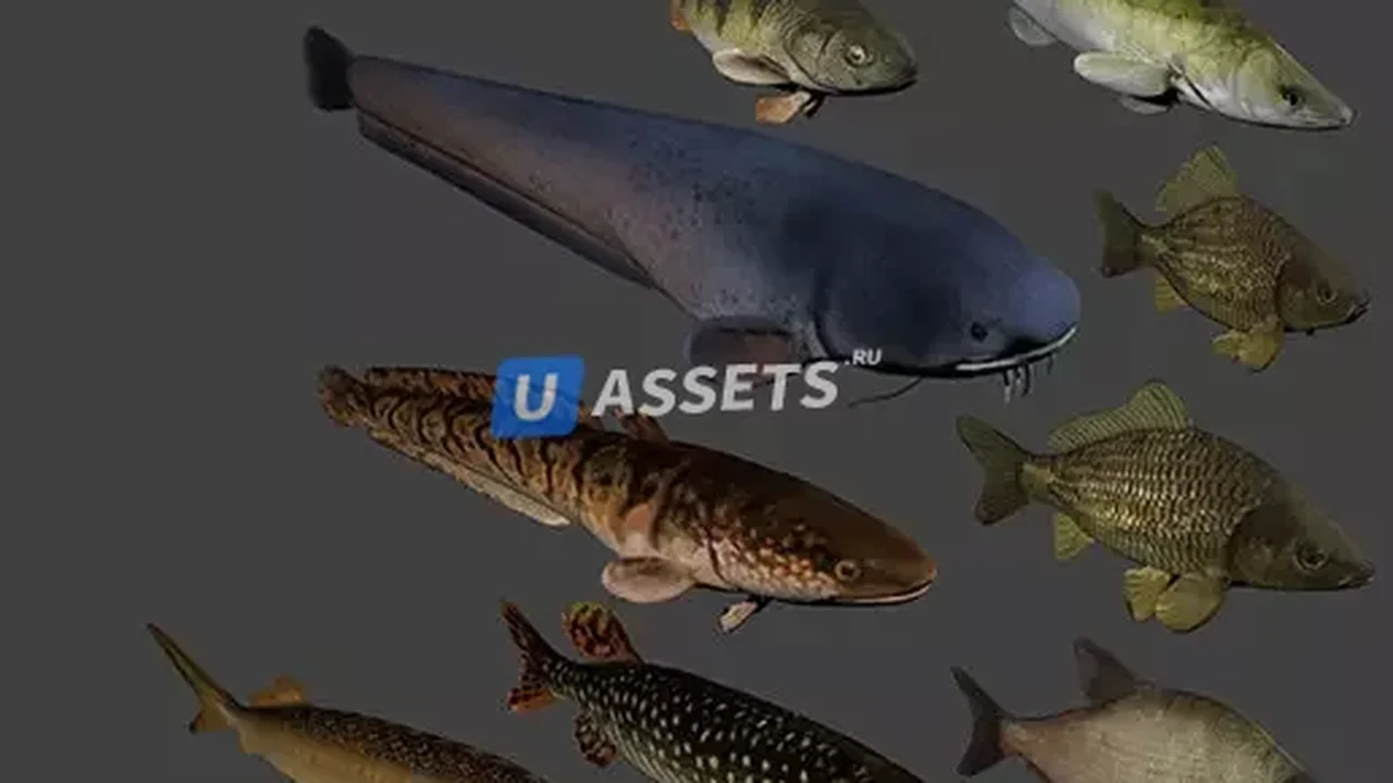 Fish animation