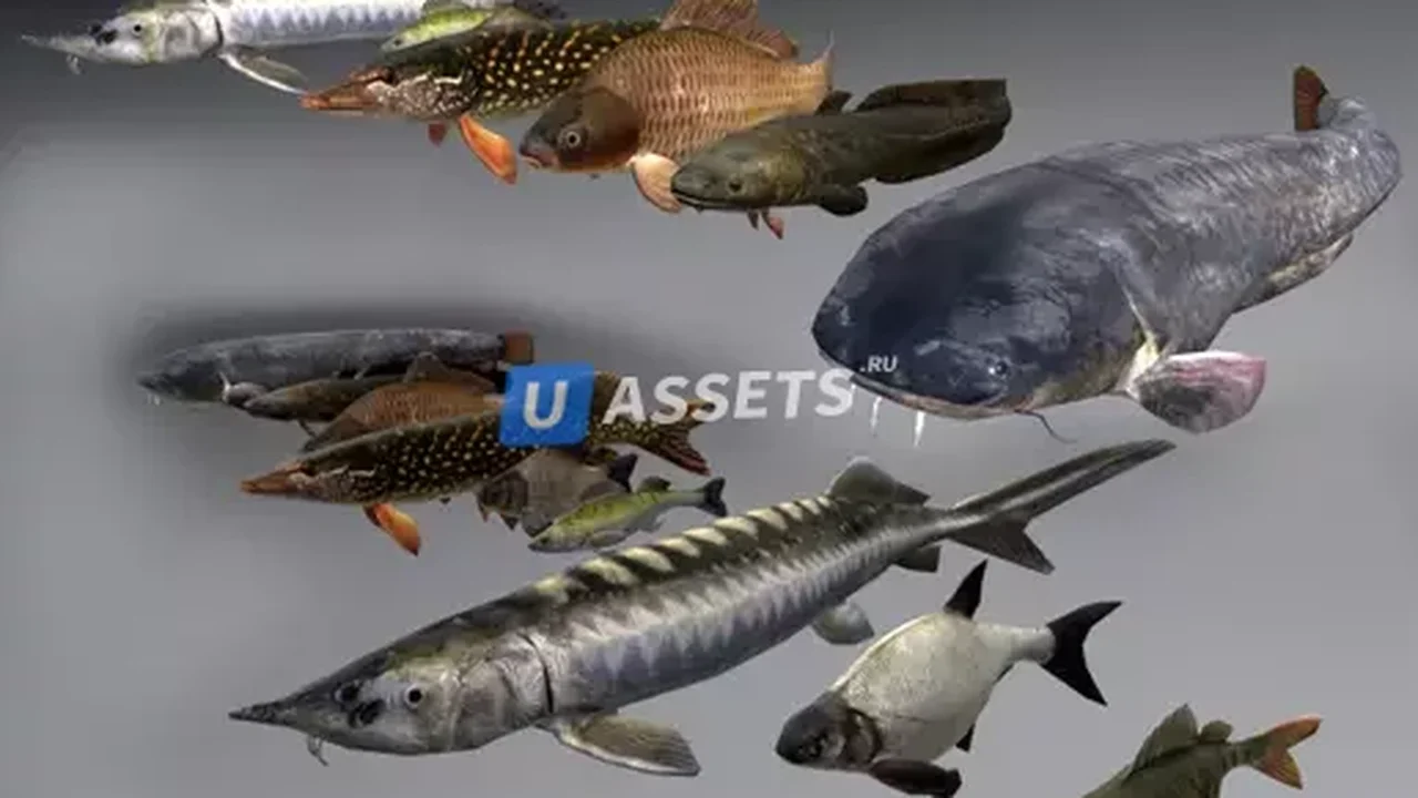 Fish animation