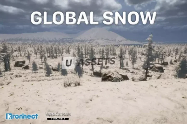 Global Snow