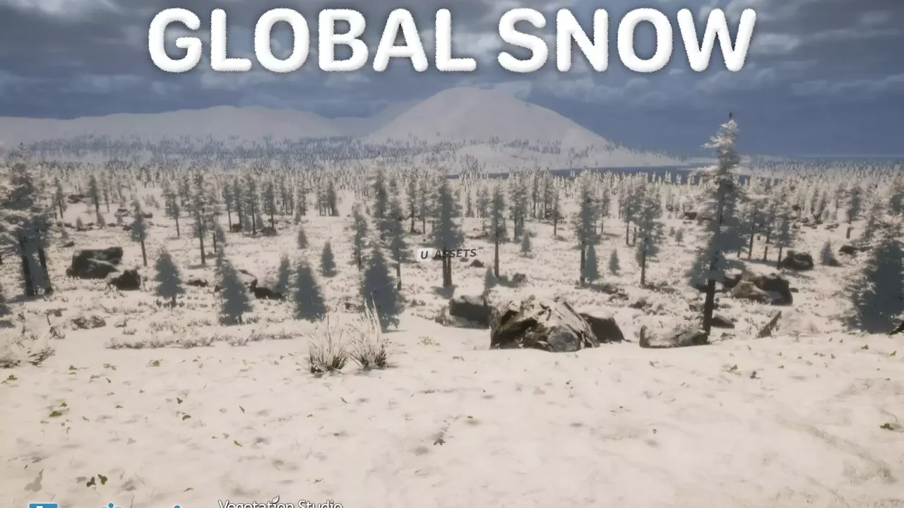 Global Snow