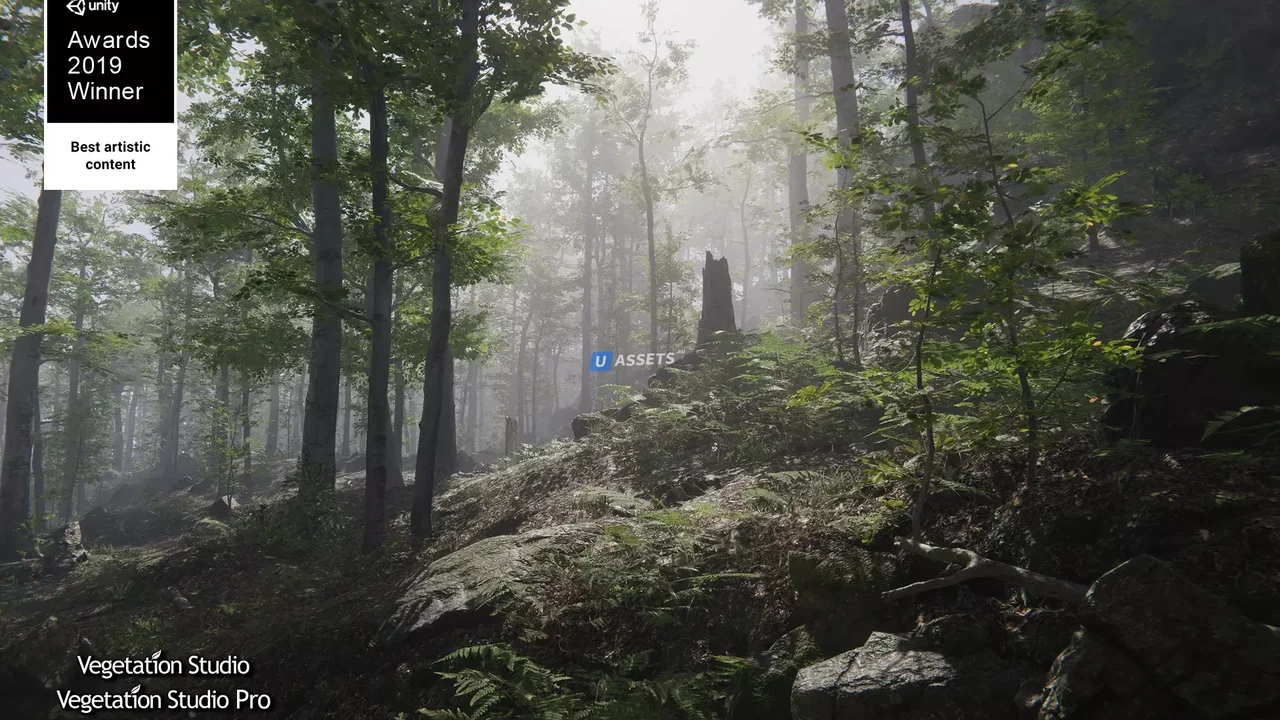 Forest Environment - Dynamic Nature