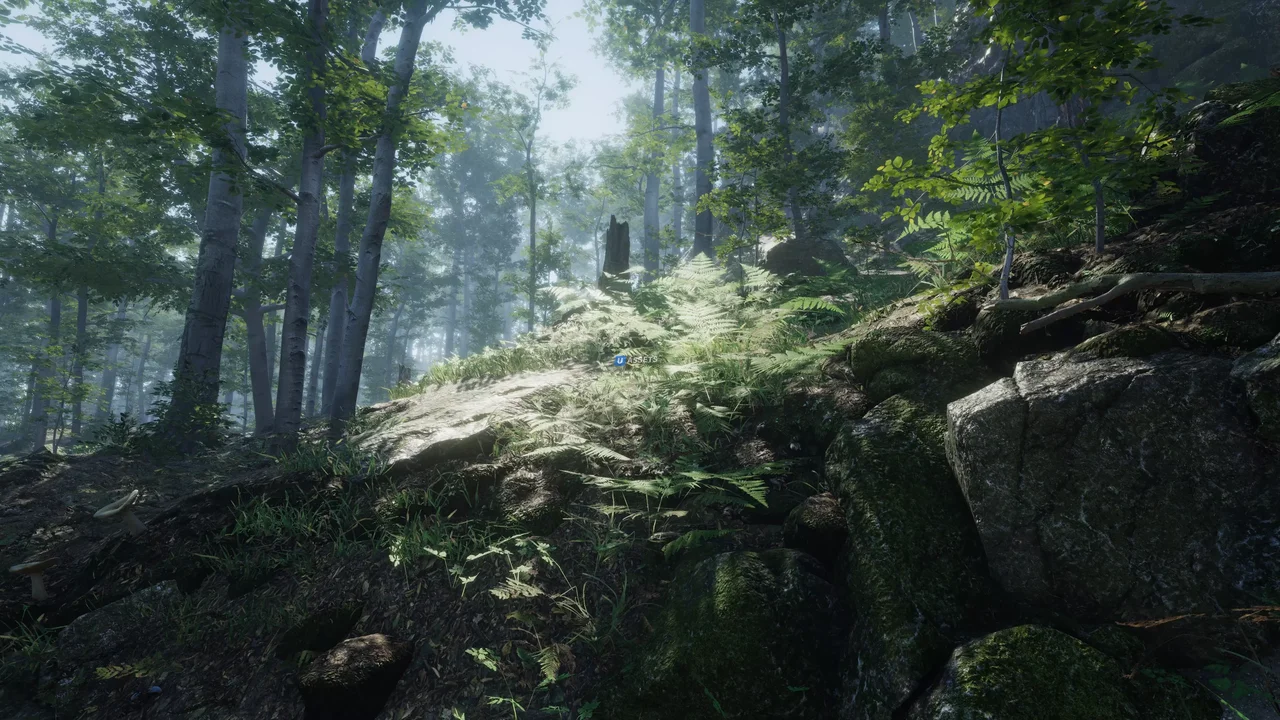 Forest Environment - Dynamic Nature