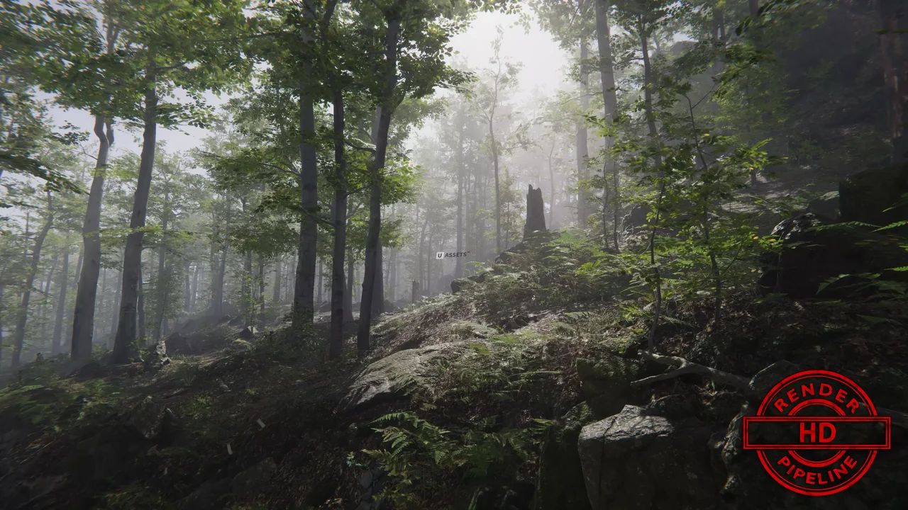 Forest Environment - Dynamic Nature