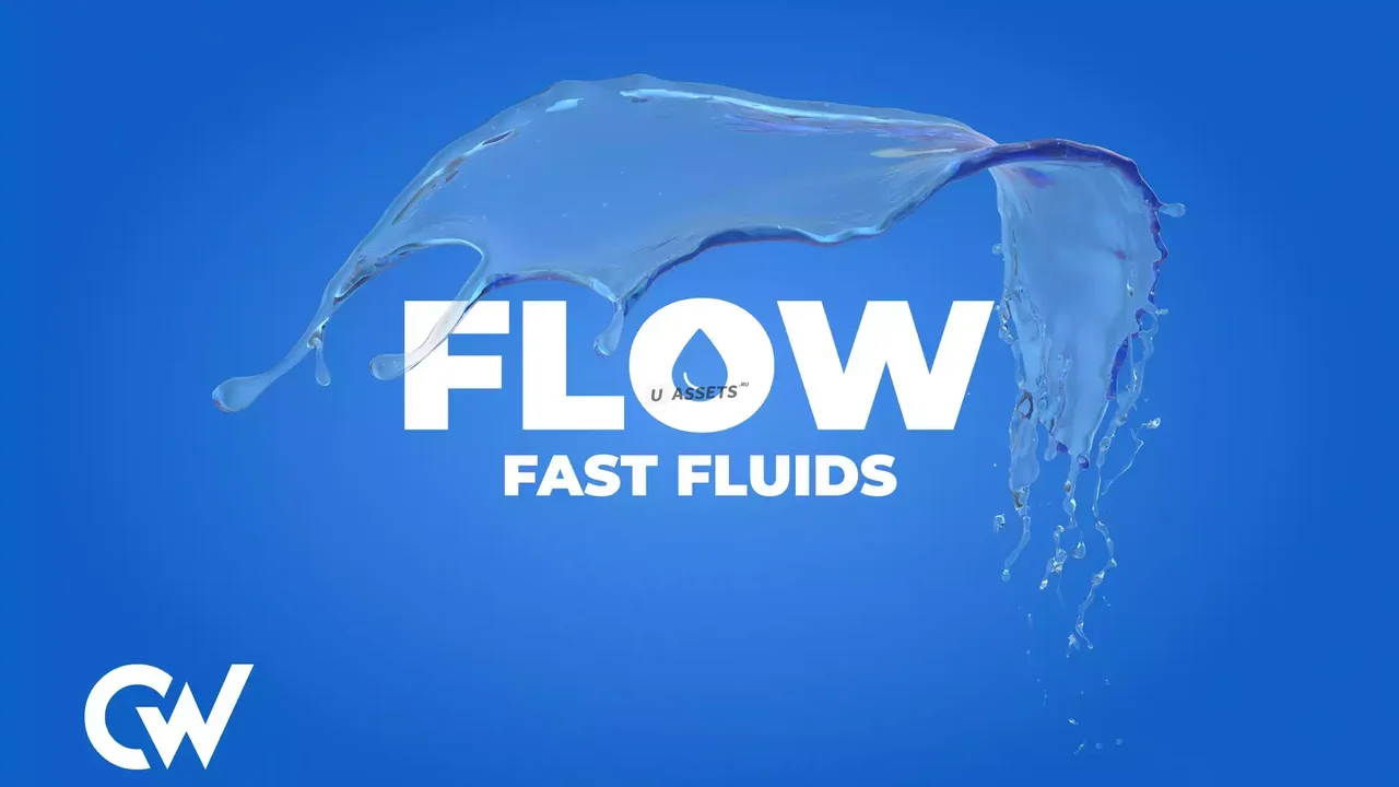 FLOW