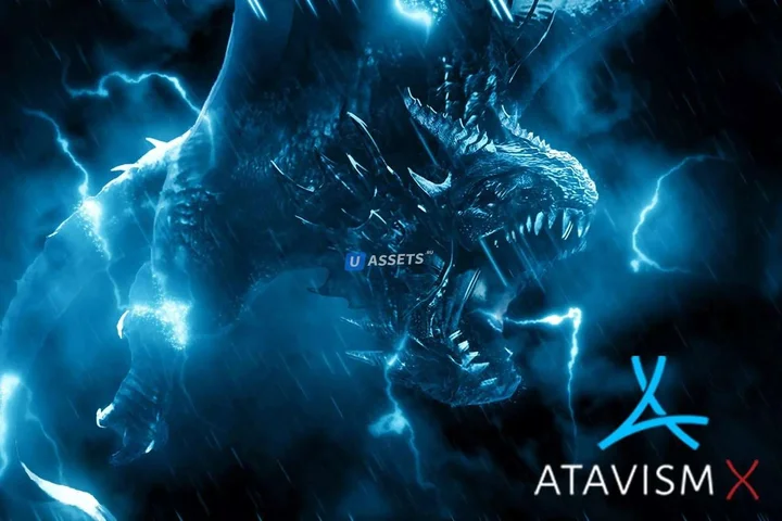 Atavism X.5 On-Premises