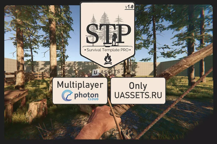 Multiplayer PUN 2 Integration (STP)