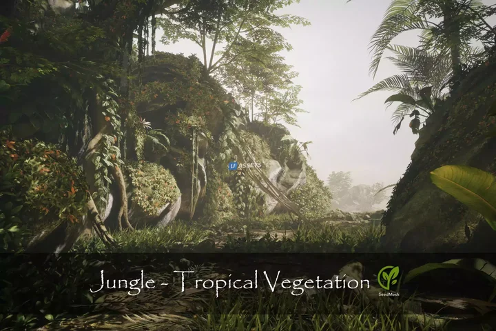 Jungle - Tropical Vegetation