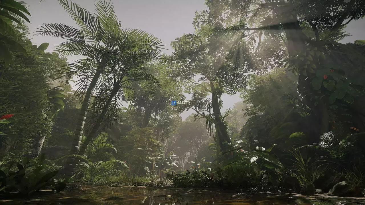 Jungle - Tropical Vegetation