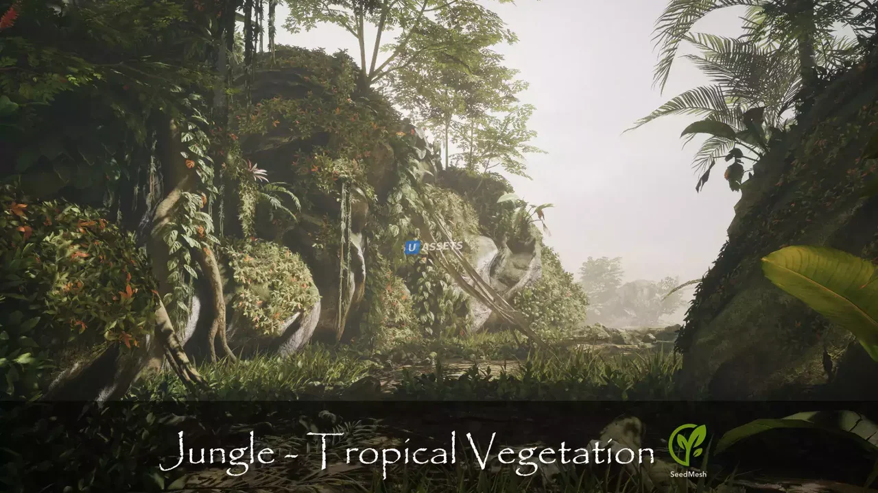 Jungle - Tropical Vegetation