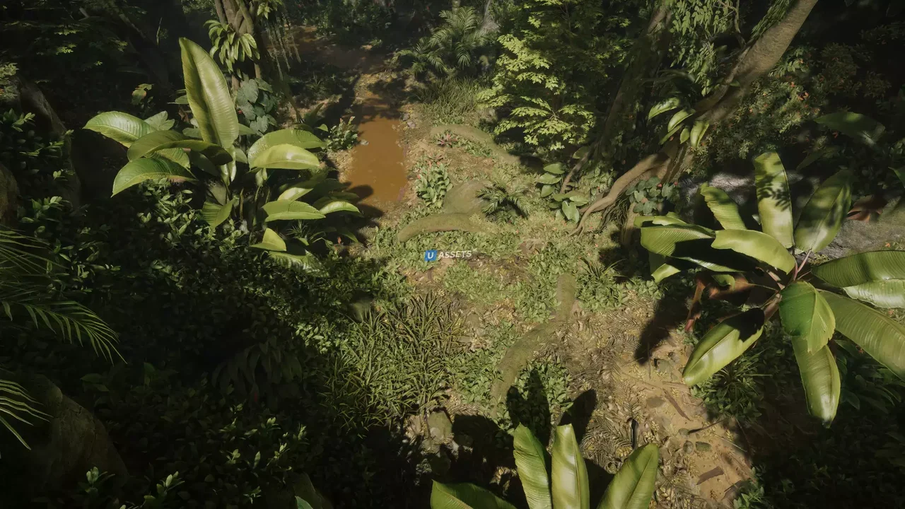 Jungle - Tropical Vegetation