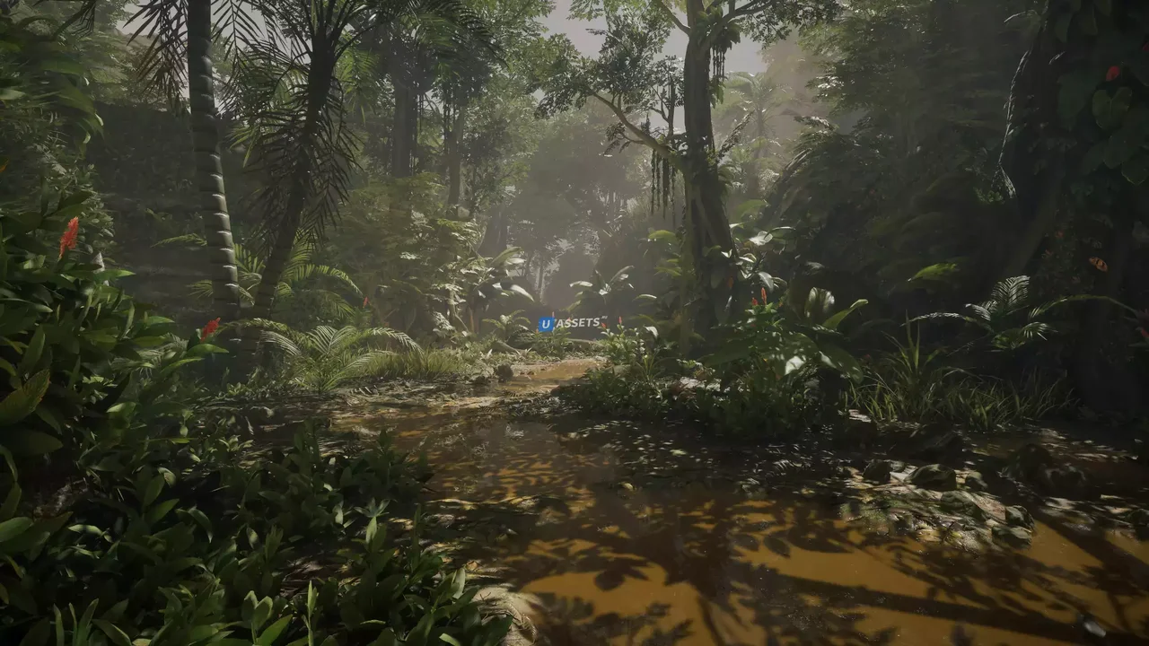Jungle - Tropical Vegetation