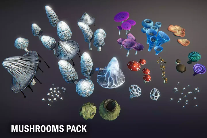 Mushrooms pack