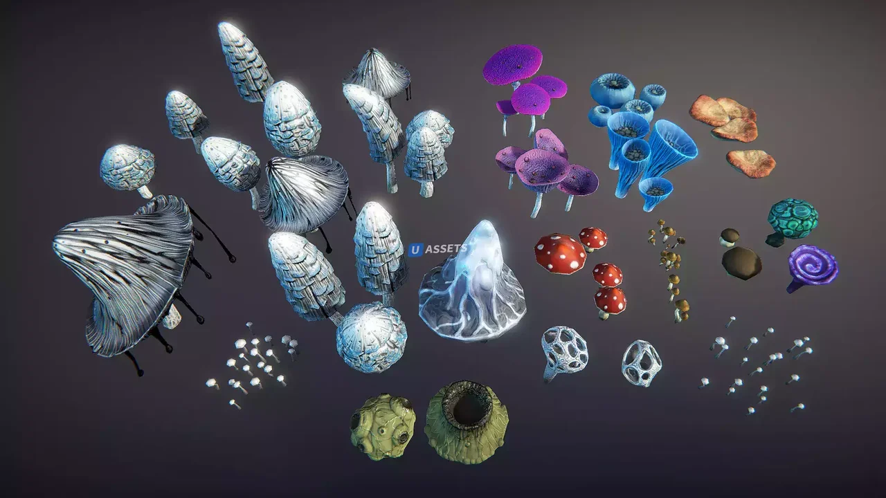 Mushrooms pack