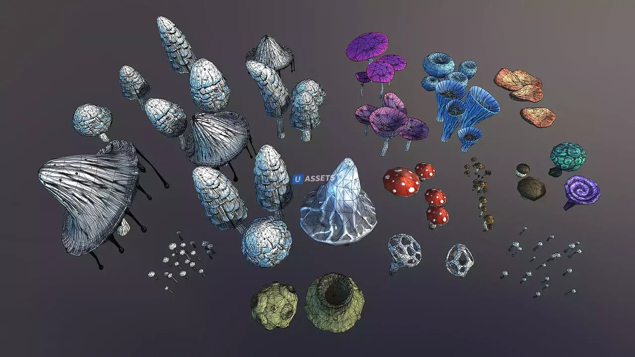 Mushrooms pack