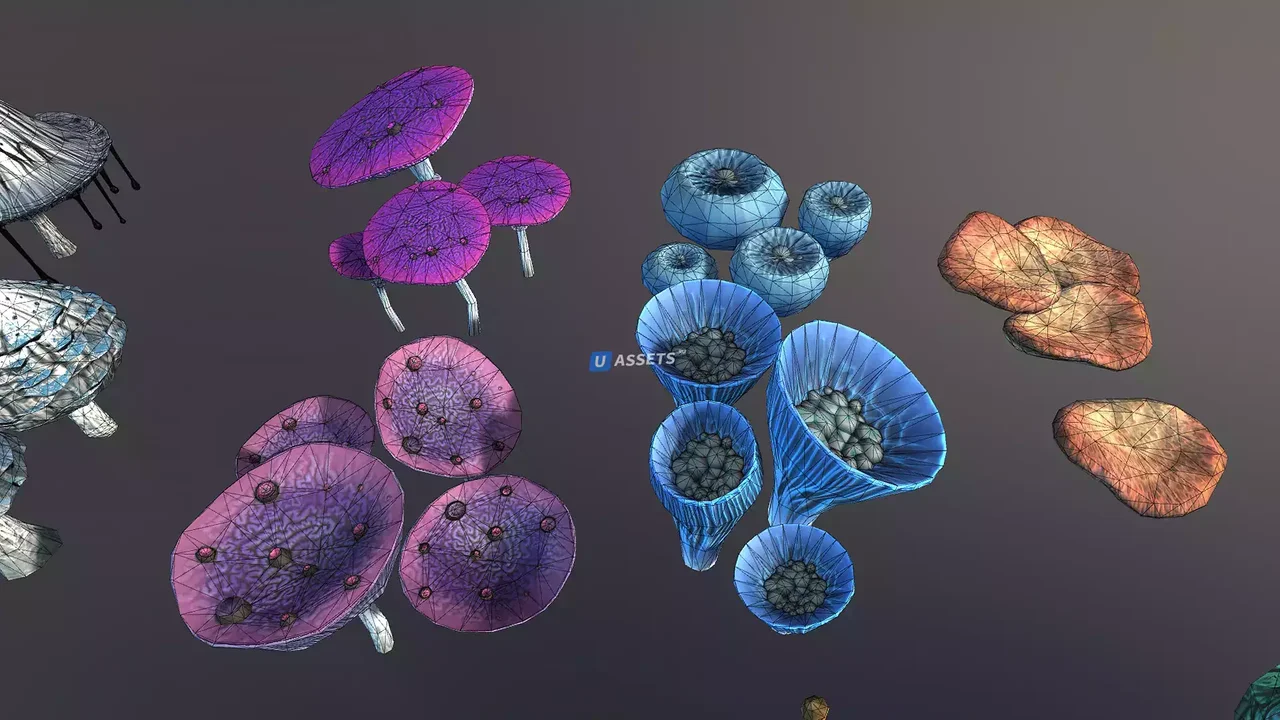 Mushrooms pack
