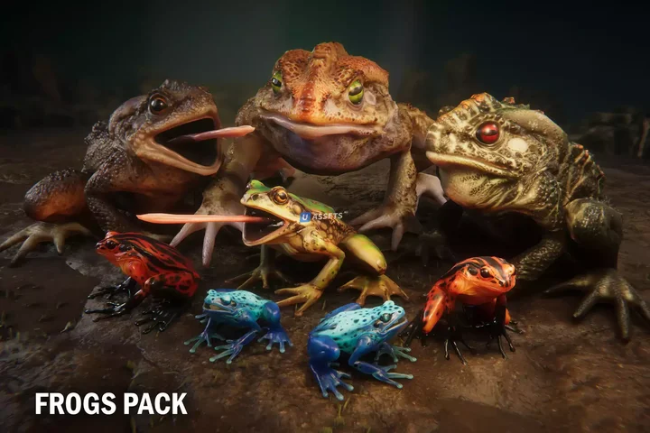 Frogs pack