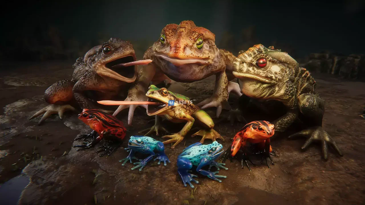 Frogs pack