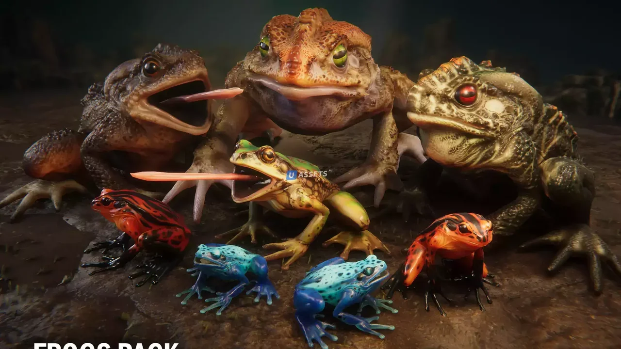 Frogs pack