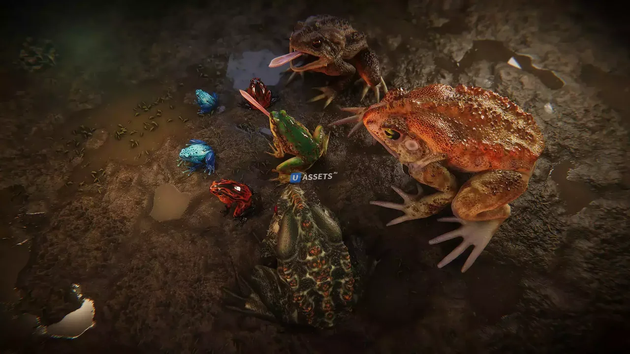 Frogs pack